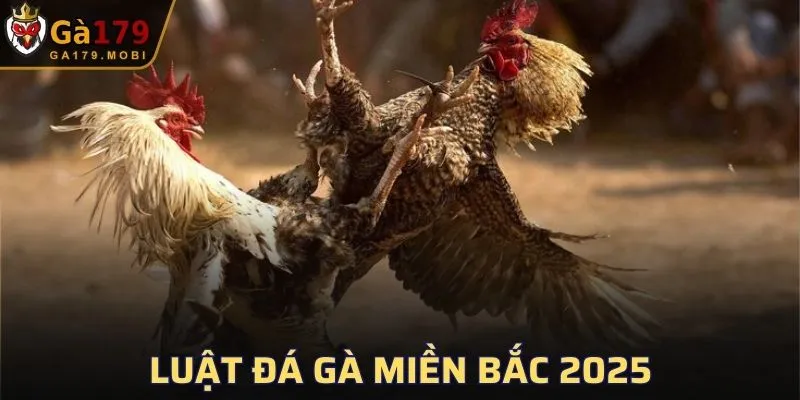Luật đá gà miền Bắc 2025